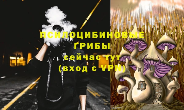 a pvp Армянск