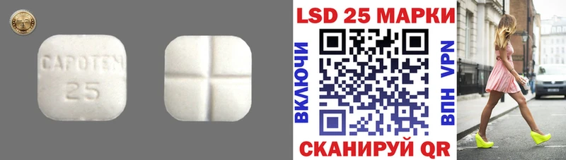 LSD-25 экстази кислота  MEGA tor  Боготол 